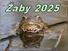 zaby 2025